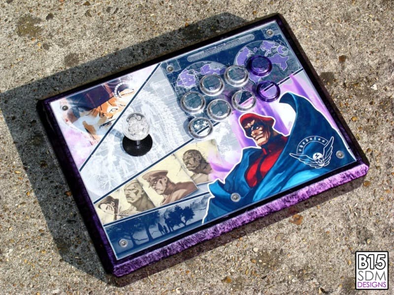 bison11