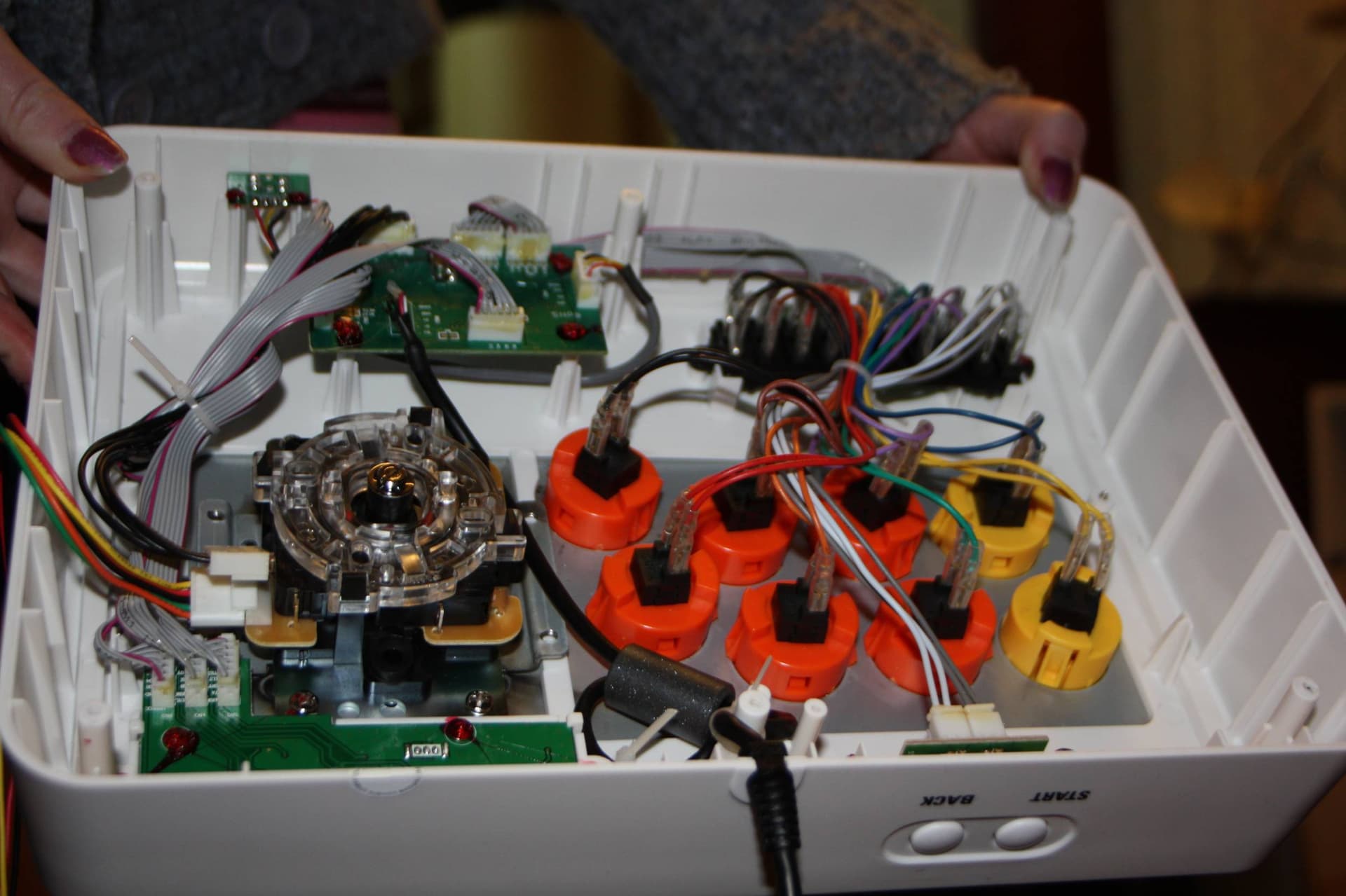01-Guts